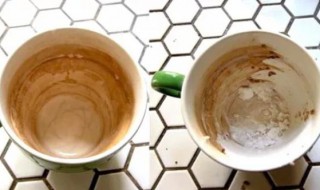 杯子里的茶垢怎么去除干净 杯子里的茶垢怎么去除干净泡柠檬