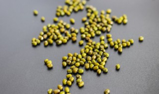 荷叶绿豆汤如何做 荷叶绿豆汤的做法