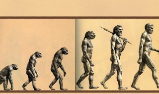 人是由什么进化来的 外国人是由什么进化来的