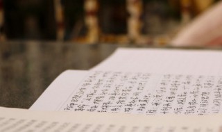 小学春季运动会作文 小学春季运动会作文100字