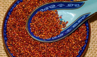 藜的功效与作用（奇亚籽的功效与作用）