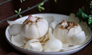 食用鲜百合有毒吗（鲜百合能生吃有毒吗）