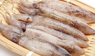 八宝鱿鱼怎么弄 八宝鱿鱼做法