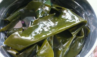 泡好的海带上起泡泡怎么办 海带起水泡怎么办