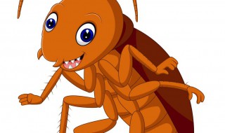 为什么蟑螂要叫小强 为什么蟑螂要叫小强哥