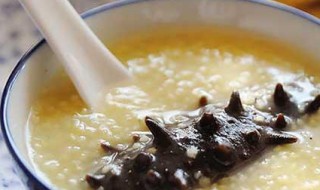海参小米粥的功效与作用 海参小米粥的功效与作用禁忌