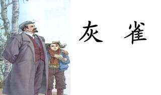 描写灰雀的句子 描写灰雀的句子是外形描写吗