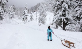 形容看雪景的句子 形容看雪景的句子简短