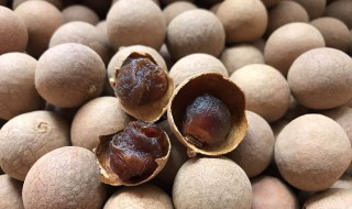 龙眼干去核的方法(龙眼干如何去核)