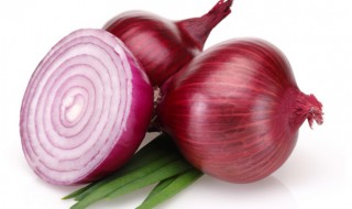 盆栽洋葱种植步骤（盆栽洋葱种植步骤图）