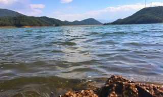 水库钓鱼有什么技巧（在水库钓鱼的技巧）