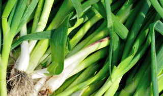 大蒜回锅肉制作方法 大蒜回锅肉制作方法窍门