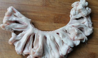 鸡冠油是什么（鸡冠油是什么油?）