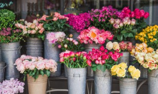 插花重要的技巧（插花的基本技巧）