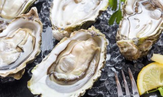 烤生蚝的技巧(烤生蚝的技巧视频)