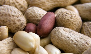 种好花生步骤 种好花生步骤及过程图片