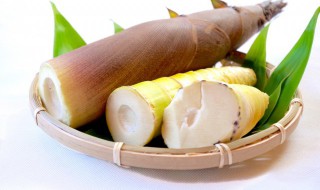 教你挖冬笋技巧 如何挖冬笋技巧