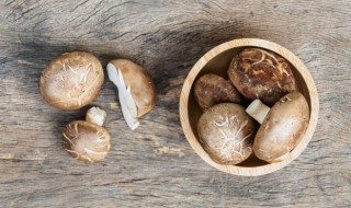 香菇牛肉汤做法步骤(香菇牛肉汤的做法)