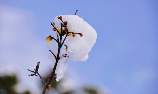 关于雪的微信签名经典语句 雪个性签名怎么写