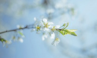 形容人生动荡不定的句子 形容人生动荡的成语