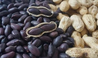 黑花生的营养价值 富硒黑花生的营养价值
