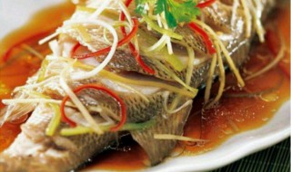 生蚝清蒸鲈鱼的做法和步骤 生蚝清蒸鲈鱼的做法和步骤图片