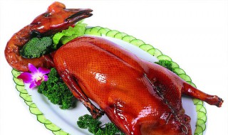 烧鹅的简介与特色（烧鹅是哪个地方的特色）