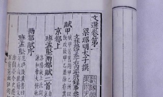 李善的简介（李善长个人简介）