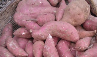 储存红薯的方法 储存红薯的方法和步骤