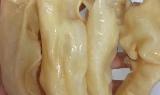 小鱼胶的泡发方法 小鱼胶的泡发方法窍门