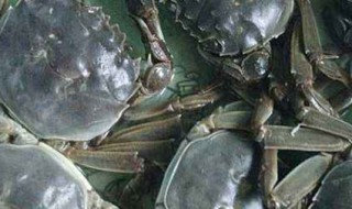 新鲜青蟹怎么保存（青蟹如何保鲜）