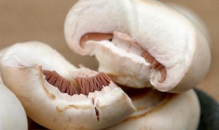 新鲜口蘑怎么保存 新鲜口蘑怎么保存方法