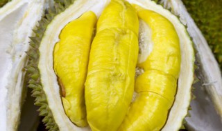 剥好的榴莲怎么保存 剥好的榴莲怎么保存能放几天