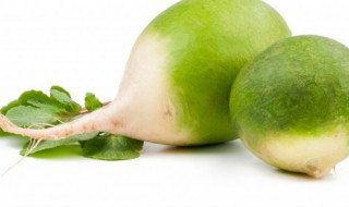 大萝卜怎么保存（大萝卜怎么保存好）