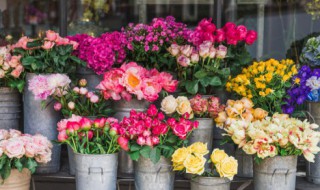 鲜花店怎么保存鲜花 鲜花店怎么保存鲜花进去