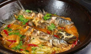 炖鱼如何做不硬(炖鱼如何做不硬不腥)