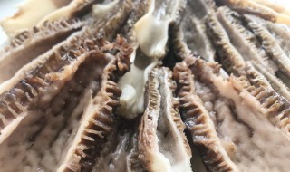 洗羊肚妙招（如何洗羊肚子）