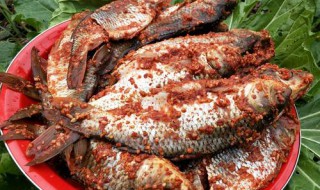 自家腌制鱼的做法步骤 自家腌制鱼的做法步骤图