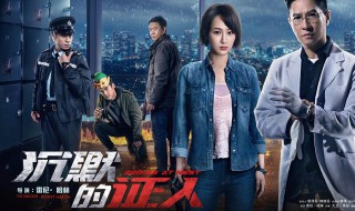 电影沉默的证人的大结局 电影沉默的证人剧情简介