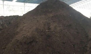 基肥是什么肥料（蔬菜基肥是什么肥料）