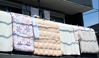 鸭绒味道去除方法 鸭绒味道去除方法有哪些