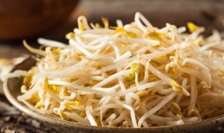 芽菜是什么菜 芽菜包括哪些菜