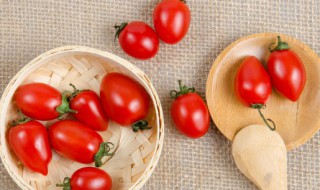 水果西红柿是转基因西红柿吗 水果西红柿是不是转基因