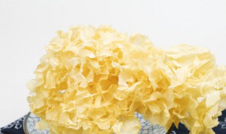 如何做银耳汤 如何做银耳汤才粘稠