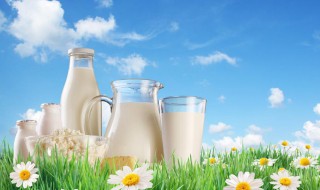 牛奶含有什么营养物质 牛奶含有什么营养物质比较多