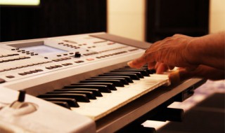 弹电子琴手法技巧(弹电子琴的正确手法)