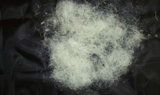 鸭绒味道怎么去除（鸭绒的味道怎么去除）