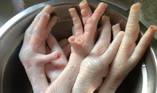 萝卜鸡脚泡制方法（白萝卜泡鸡脚做法）