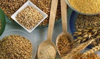 什么粮食可以长期保存 保存期长的粮食
