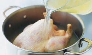 炖品高汤制作方法 炖品高汤制作方法步骤